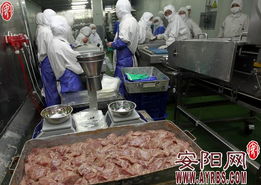 上海福喜食品有限公司涉嫌有组织实施违法生产经营食品行为